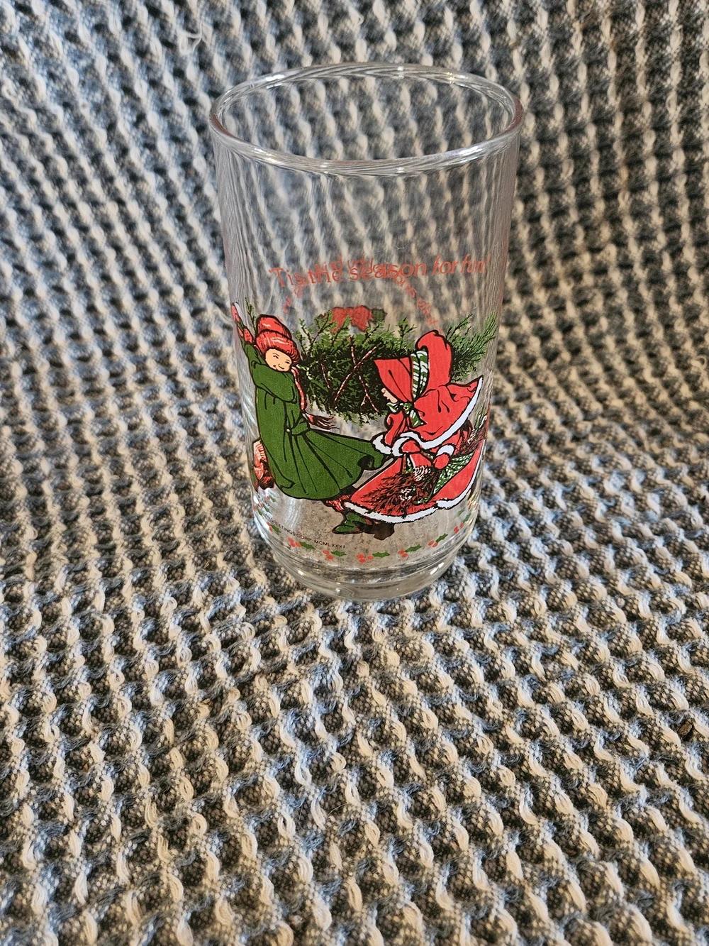 Holiday Illustration Clear Glass Tumbler in Red & Green